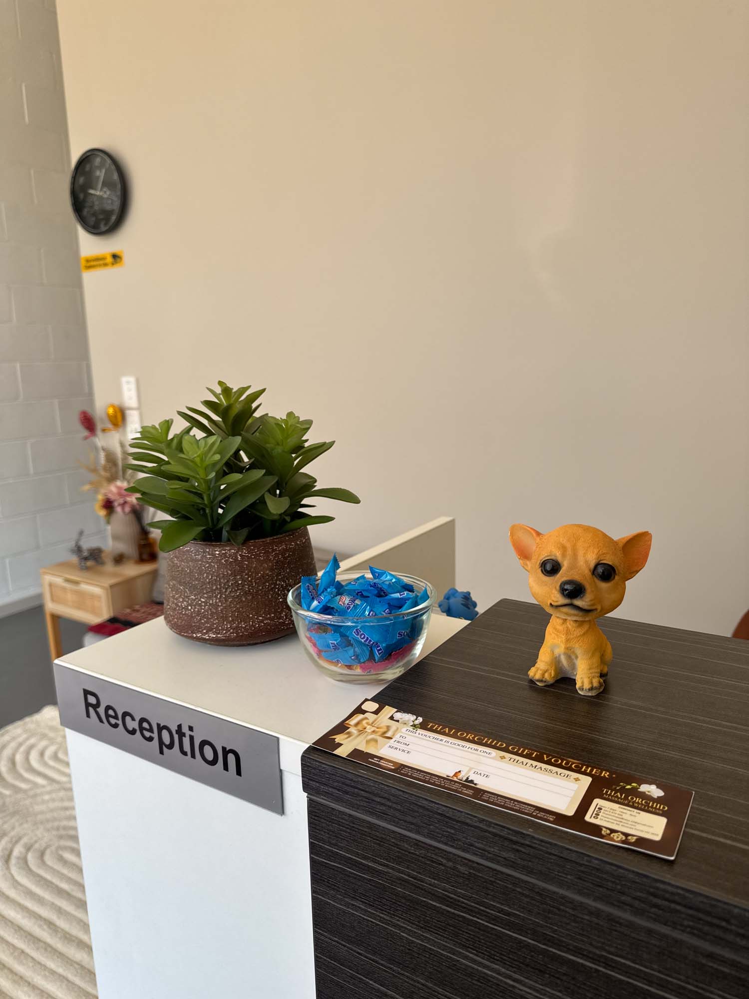 Thai Orchid gallery photo